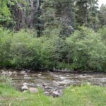 Gallery Image Thumbnail 3