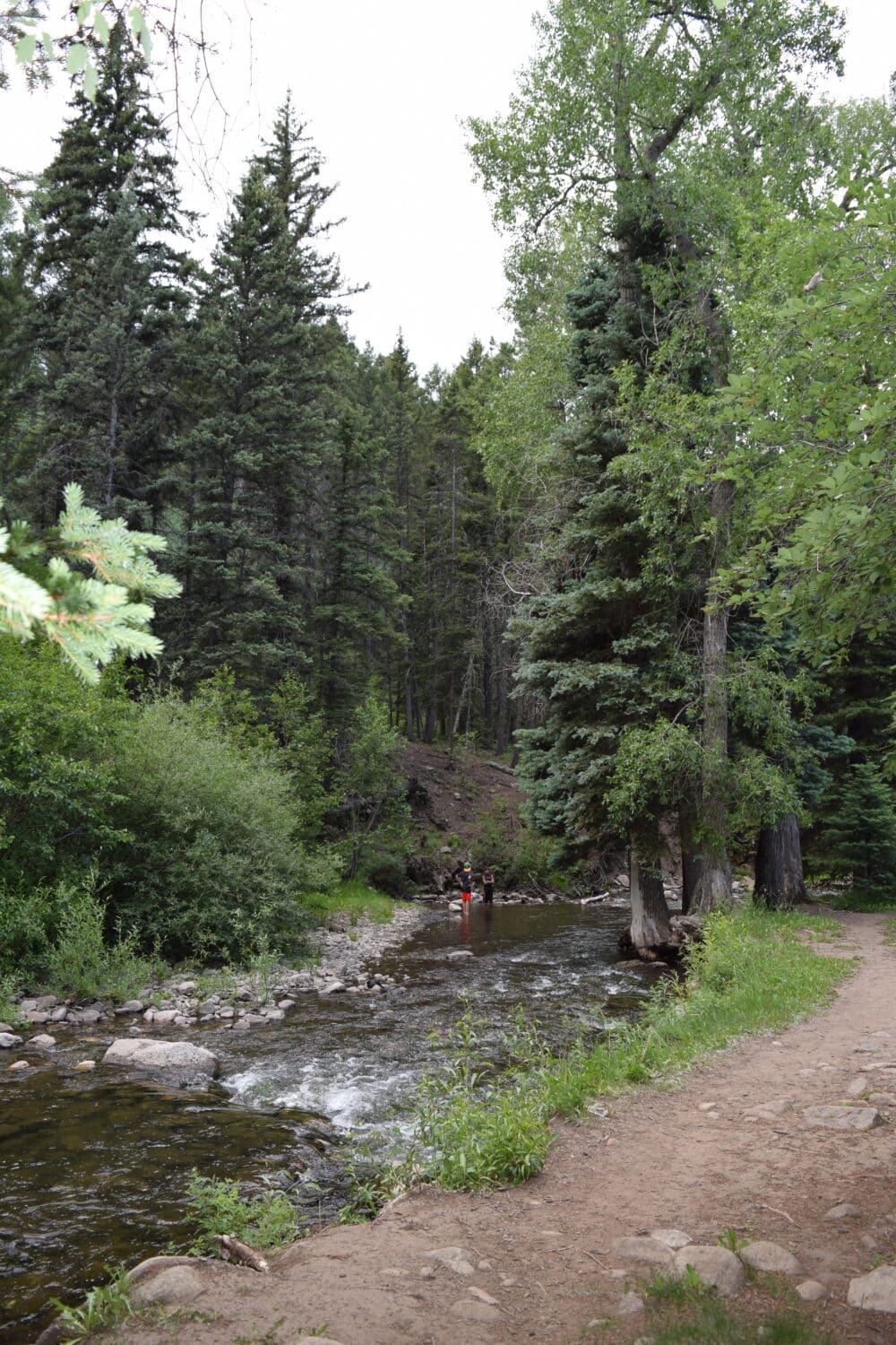 Gallery Image 10