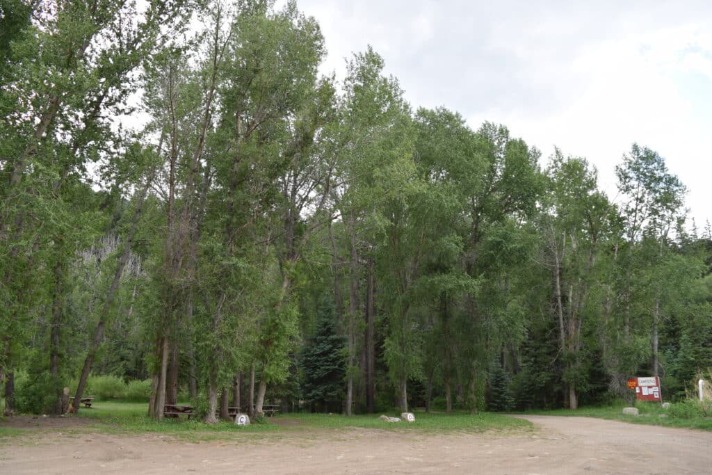 Read more: Sipapu Campgrounds Site I