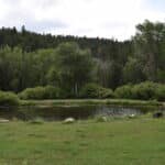 Gallery Image Thumbnail 1
