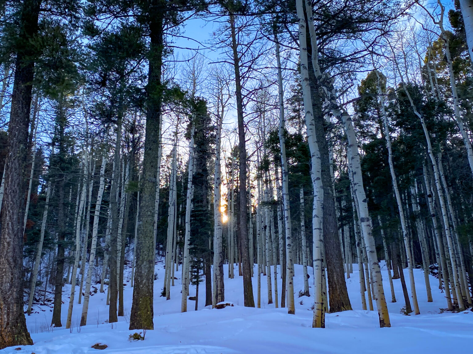 Ski New Mexico at Sipapu Ski and Summer Resort