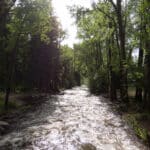 Gallery Image Thumbnail 2