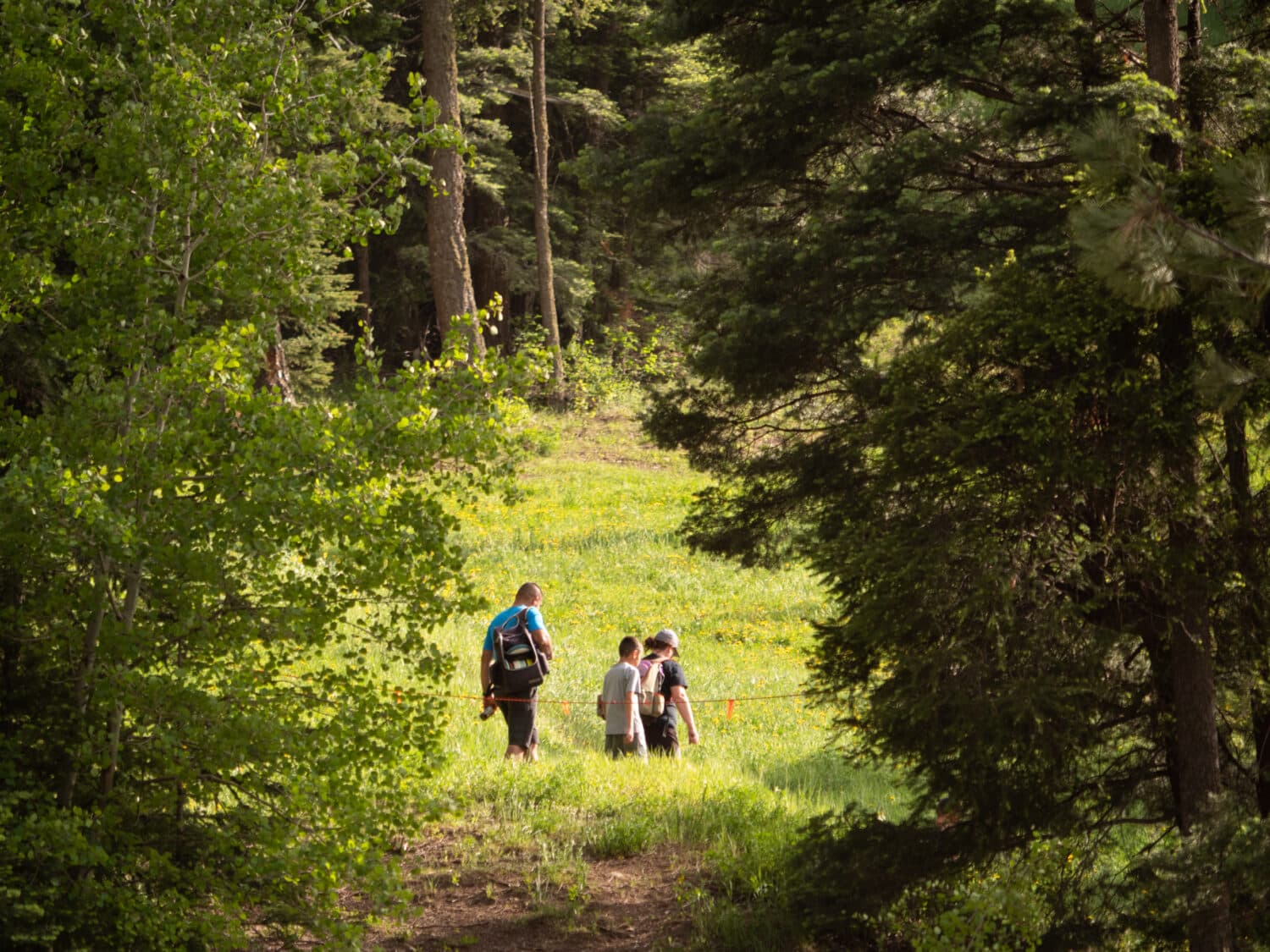 geocaching at Sipapu Near Taos