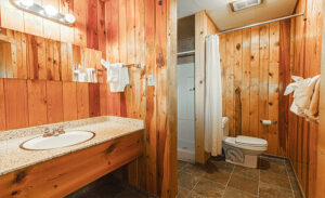 Gallery Image Thumbnail 2